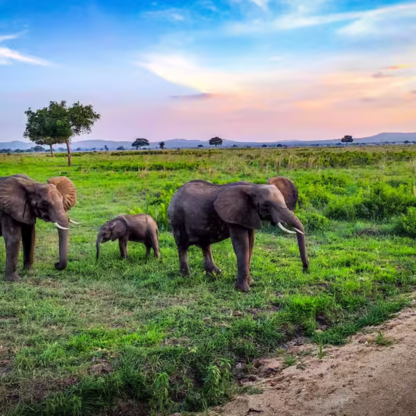 Visit the Most Beautiful Places in Tanzania