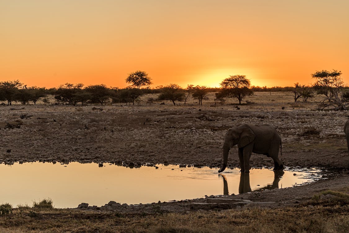 4-Day Tanzania Safari: Lake Manyara, Serengeti & Ngorongoro Crater