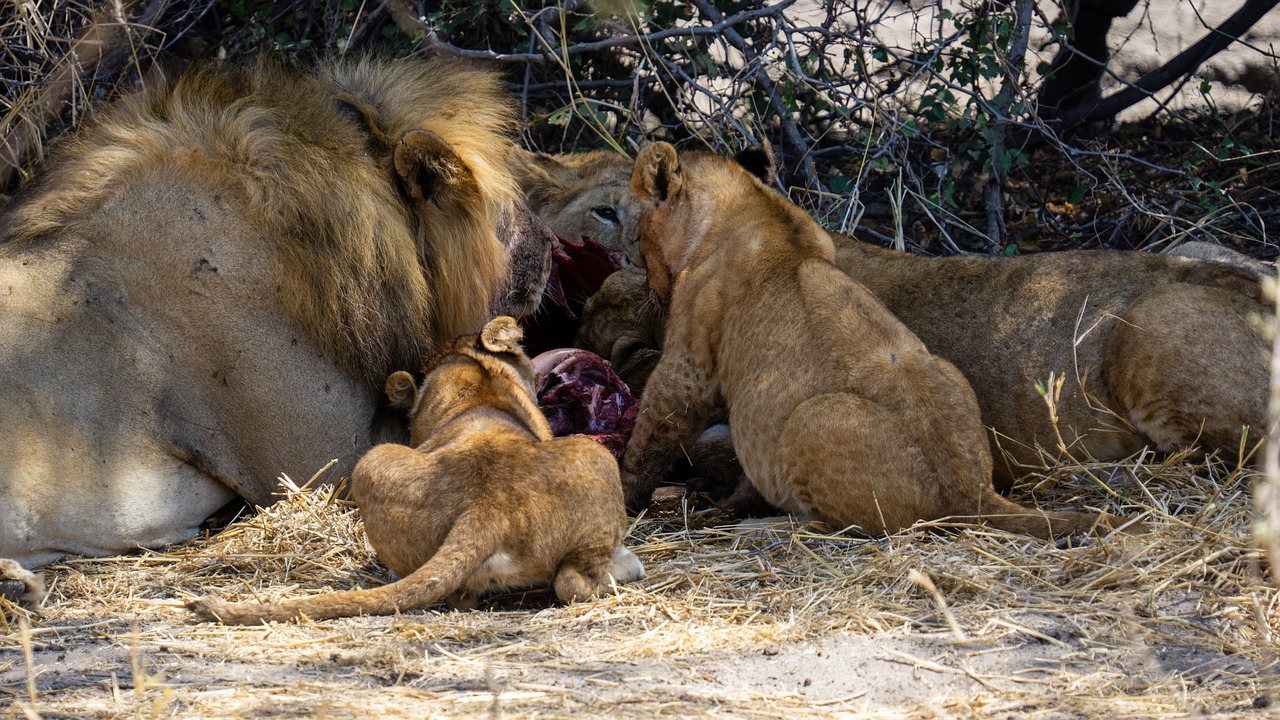 14-Day / 13-Night Safari & Zanzibar Journey (Tarangire, Manyara, Ngorongoro, Serengeti & Zanzibar)