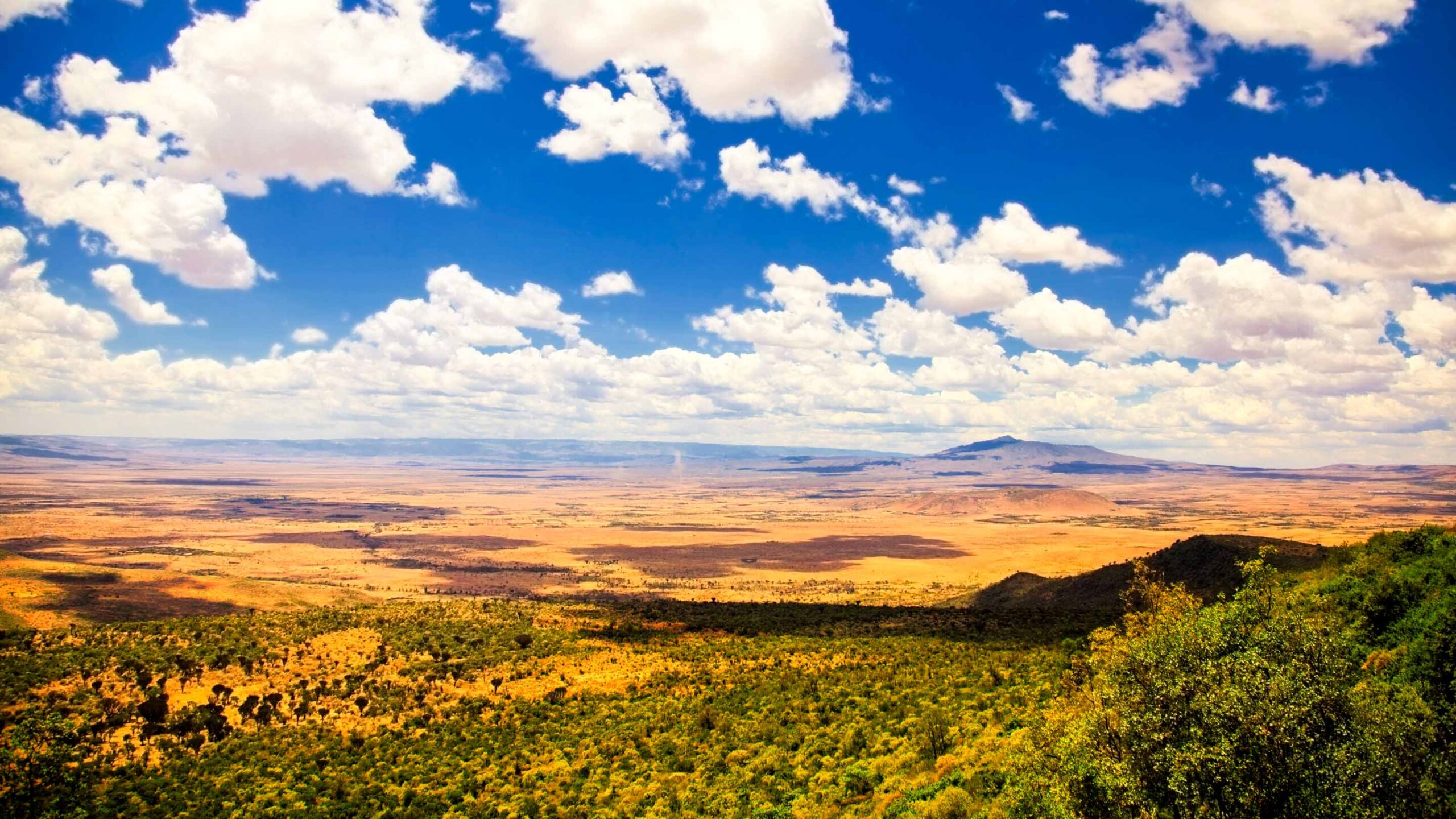 7-Day Great Rift Valley Explorer in Kenya