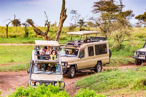 Northern Tanzania Safari 3 Days | Manyara, Tarangire & Ngorongoro