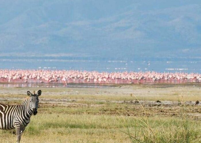 Tanzania Safari, Lake Manyara National Park