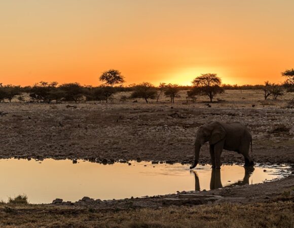 4 Days Tanzania Safari Lake Manyara, Serengeti and Ngorongoro Crater