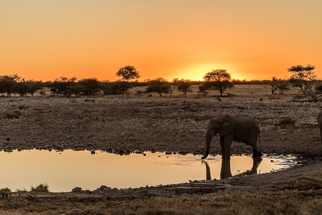 4 Days Tanzania Safari Lake Manyara, Serengeti and Ngorongoro Crater