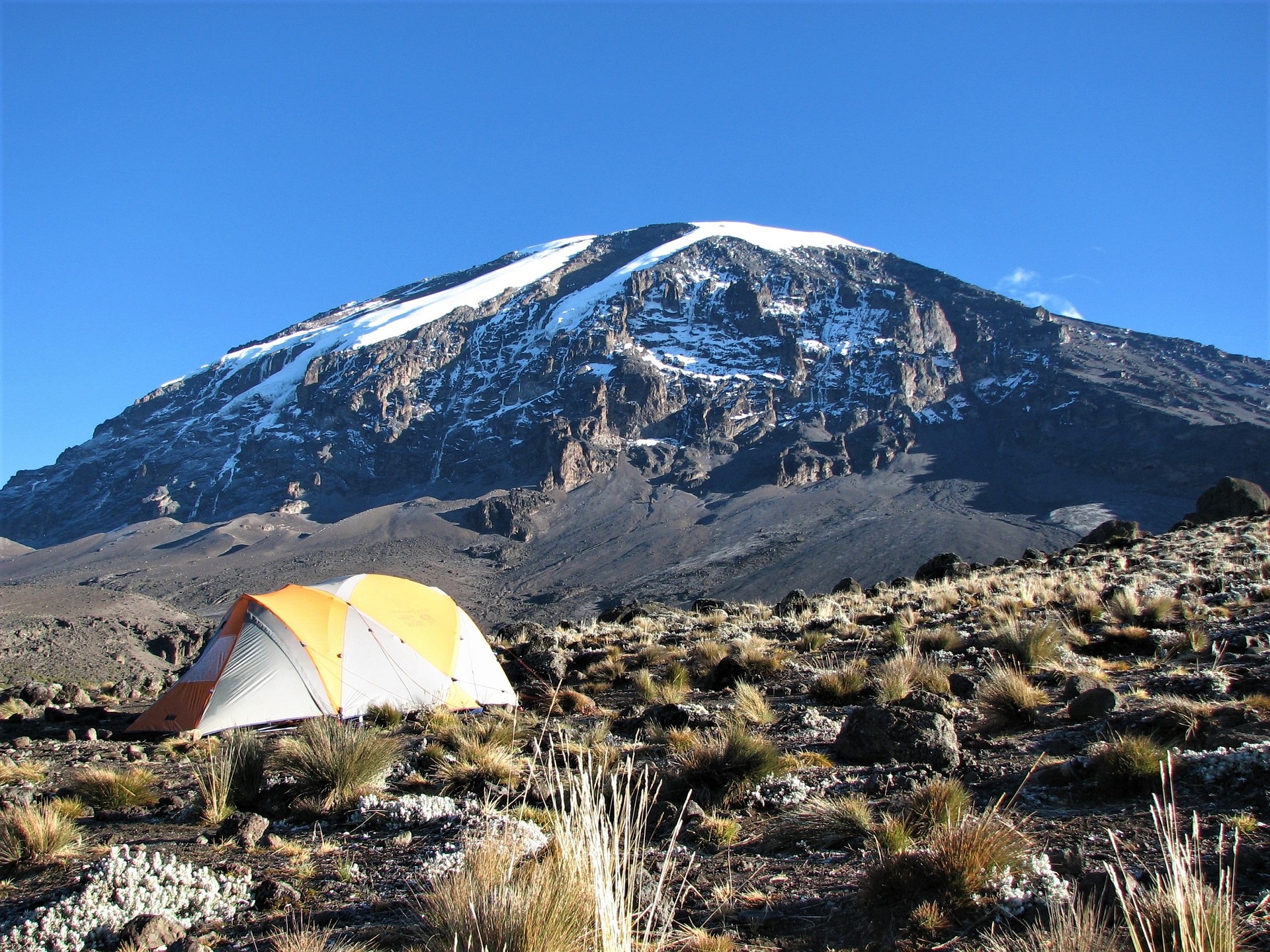 Kilimanjaro