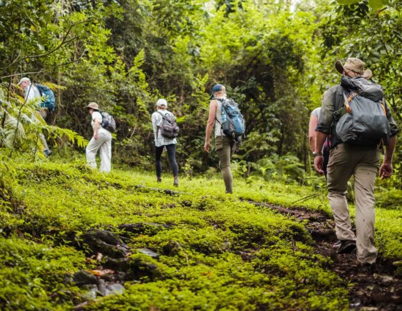 1-Day Trip Safari to Arusha National Park