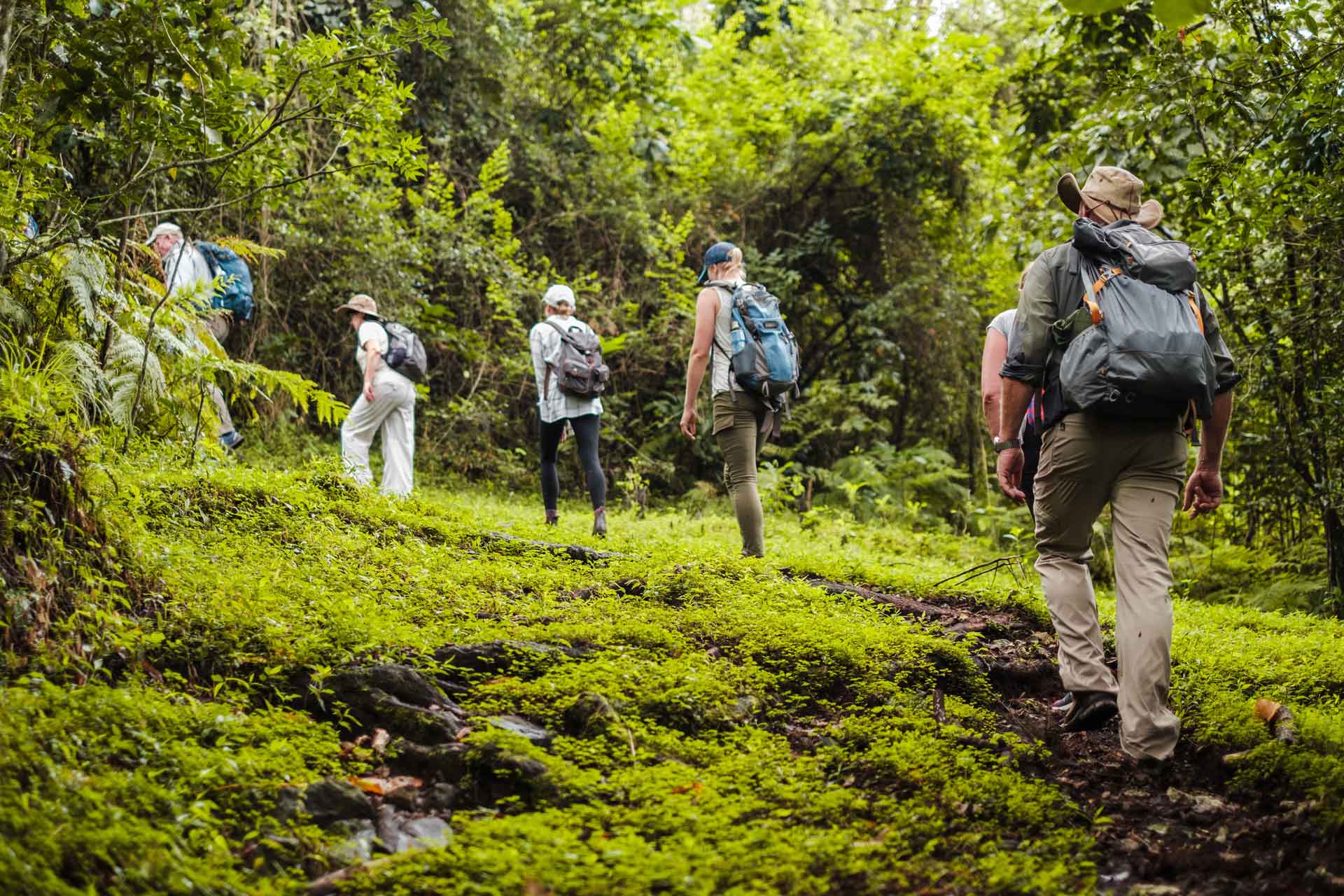 1-Day Trip Safari to Arusha National Park