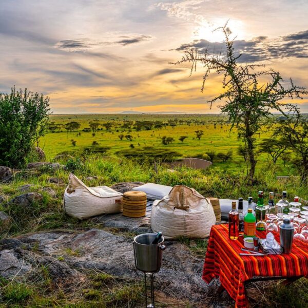 Serengeti Plains